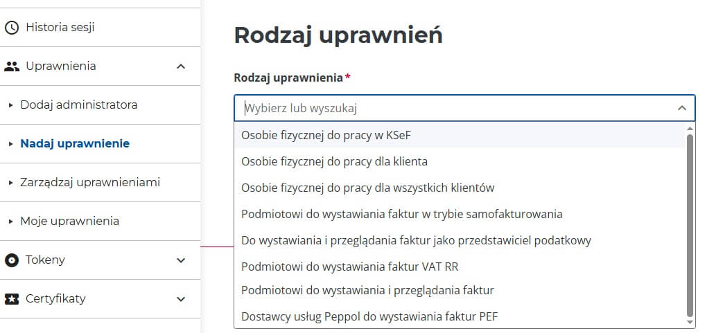 Podstawy z obsługi KSef biuro rachunkowe Łódź HALSZKA 6
